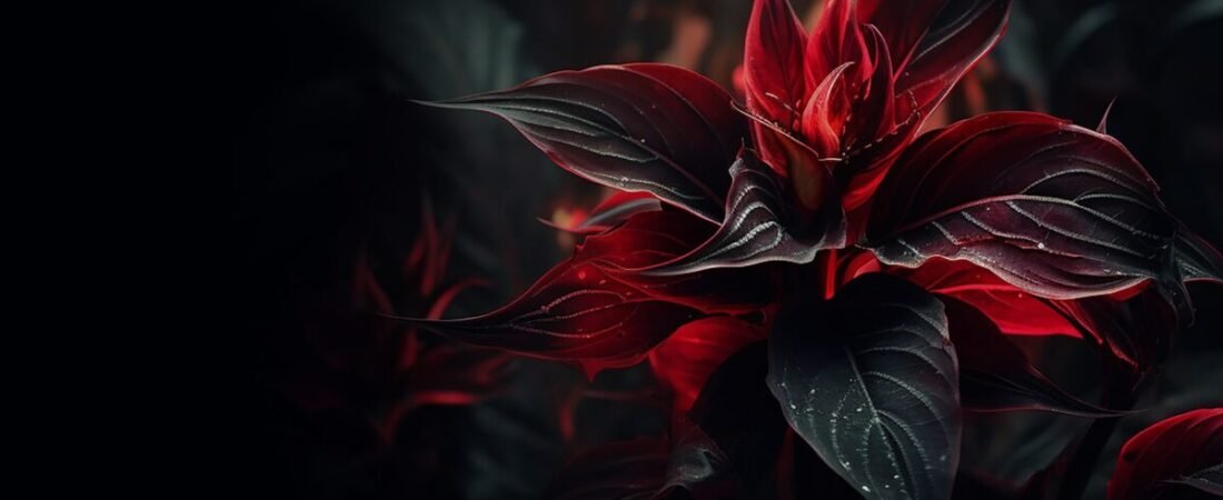 Twilight Solitude Embracing the Calm Sea